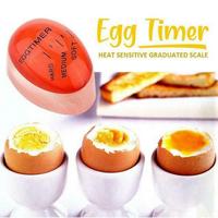 Dublör Yumurta Egg Timer