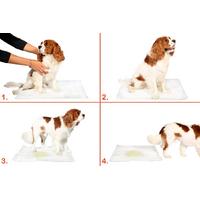 Yıkanabilir Köpek Çiş Pedi - 100 X 100 Cm 5li Paket